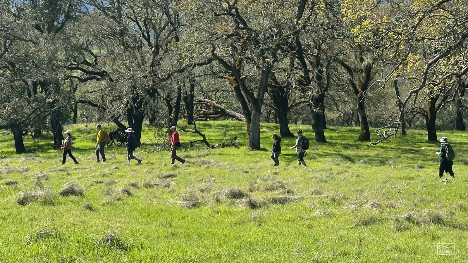 Glen Oaks Ranch Walk