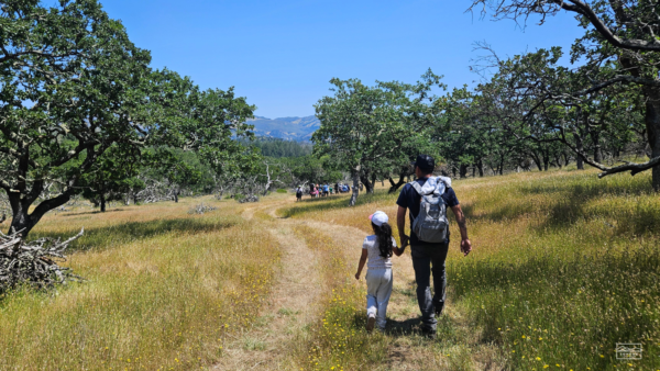 Young girl and man holding hands while walking trail amongst grasslands