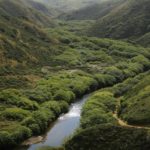 Un río fluye a través de un valle densamente boscoso en Carrington Ranch.