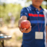 A boy holds out a red apple at the Dutton Apple Ranch