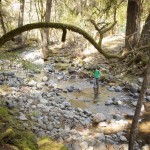 A child steps stone by stone across a creek at Rancho Mark West.