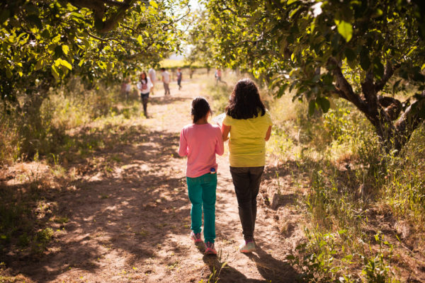 Students walking on a path through an apple orchard at Dutton Ranch.