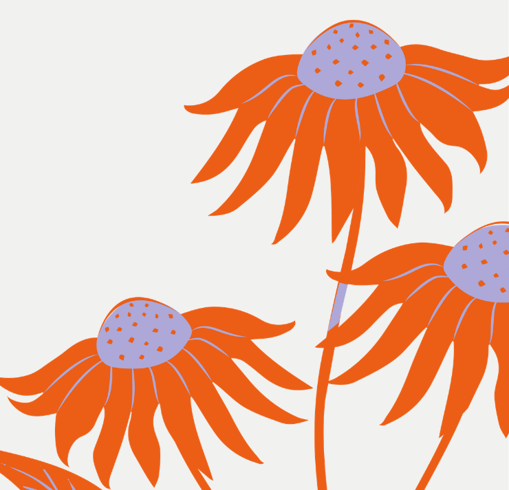Fall Native Plant Sale
