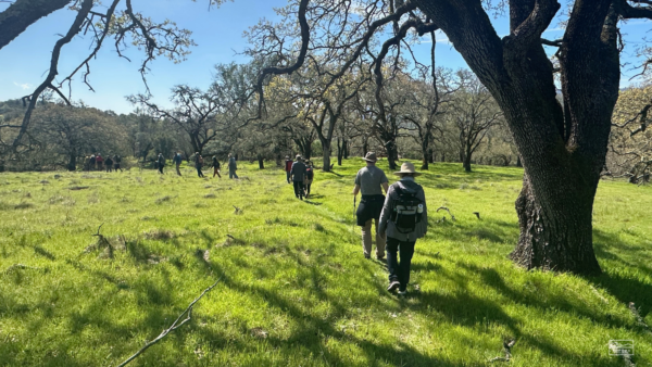People follow trail through oak woodlands