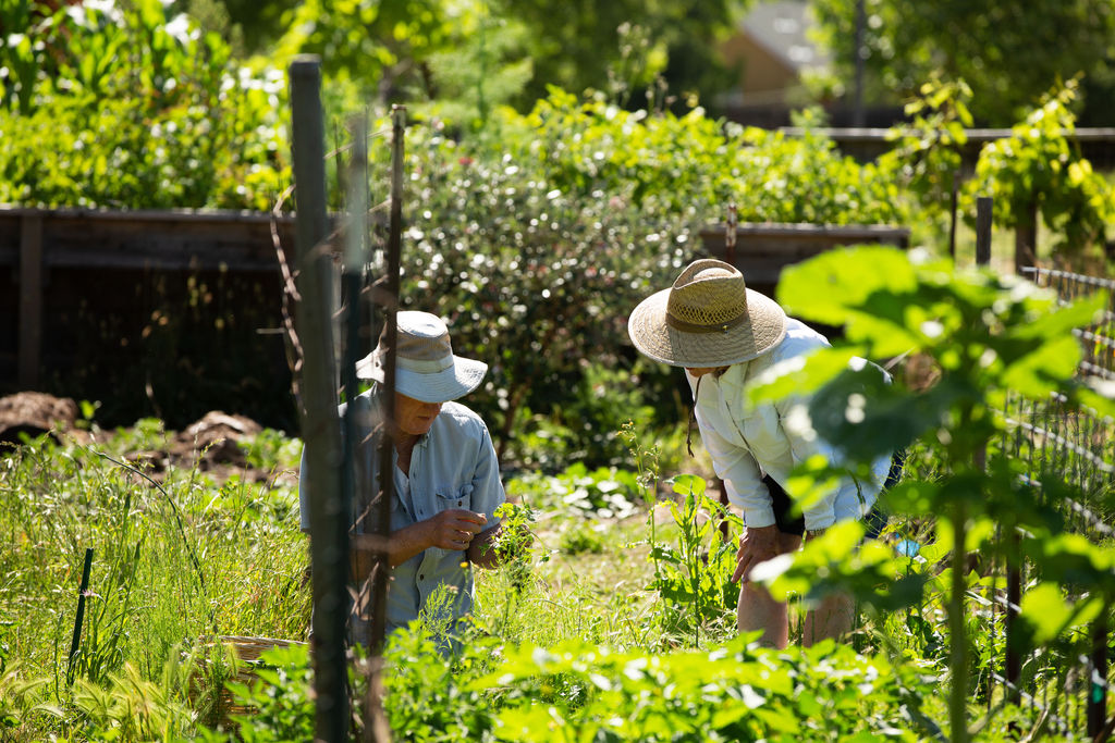 Farmers working in a field