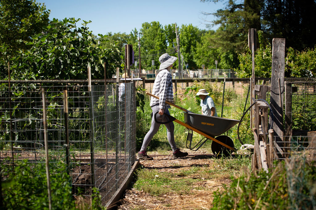 Farmer pushing a wheelbarrow
