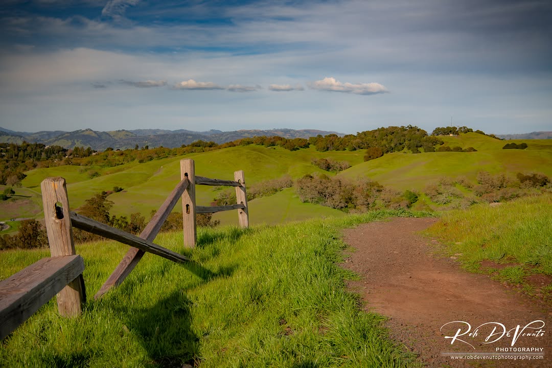 Fence along a trail