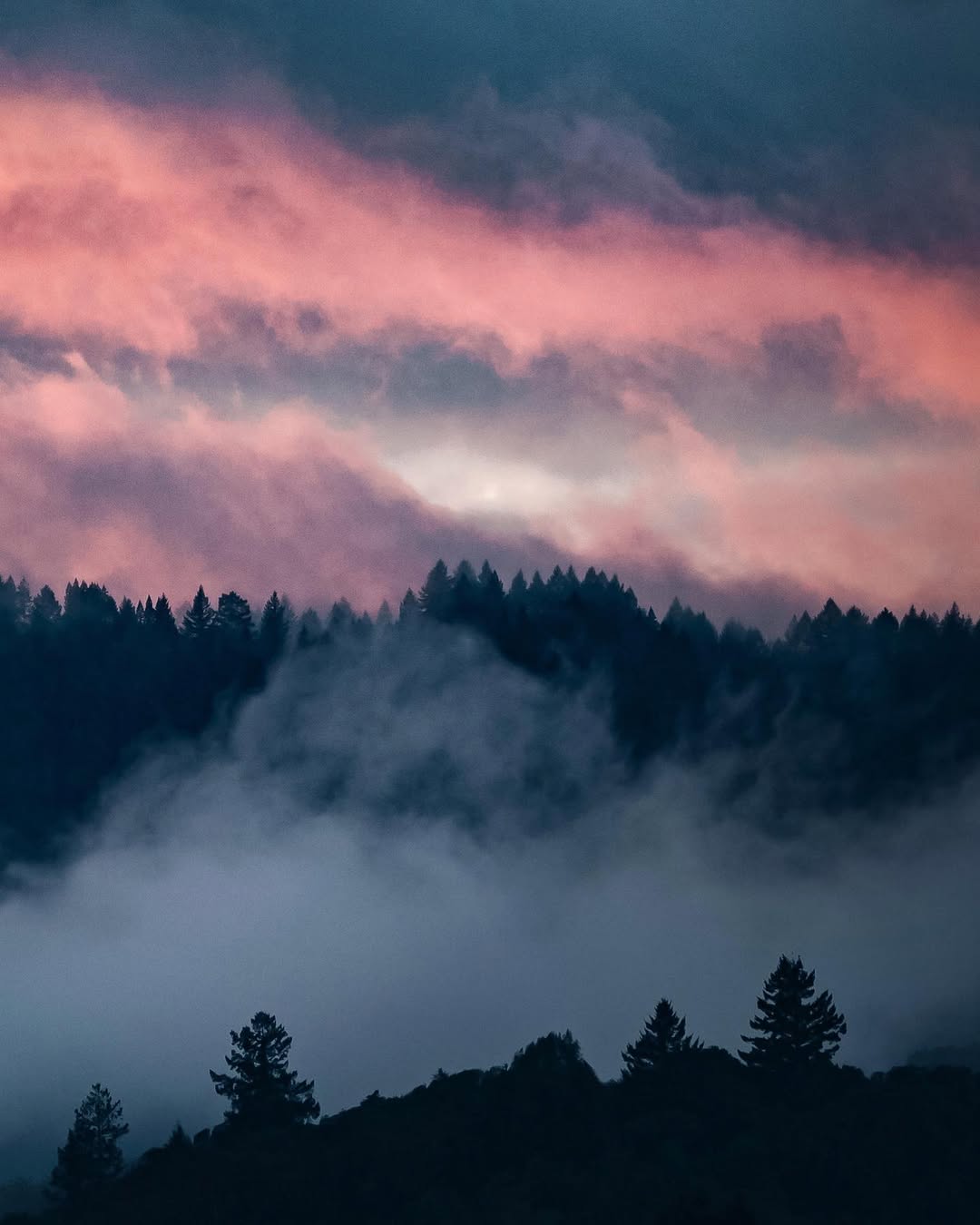Blue and pink sky at dusk