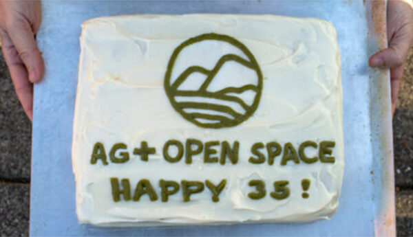 Cake with frosting that says "AG + Open space Happy 35!"