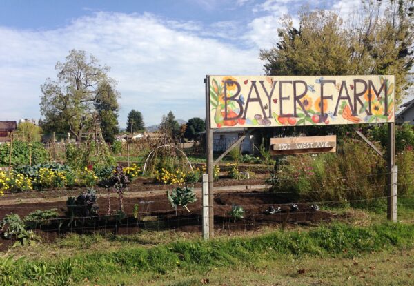 Bayer Farm sign in front of large wood planter boxes.