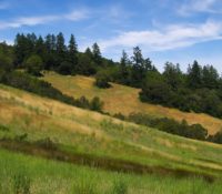 Sloping hillside at Beltane Ranch