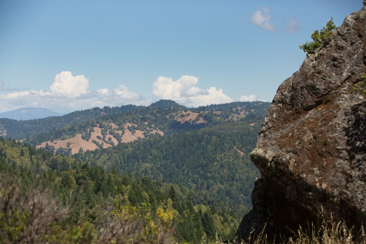 scenic view of hills with trees