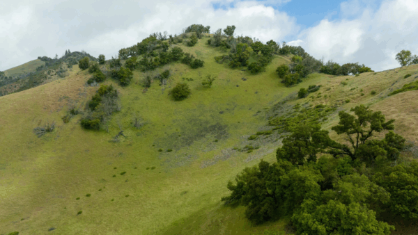 Calabazas Open Space Preserve