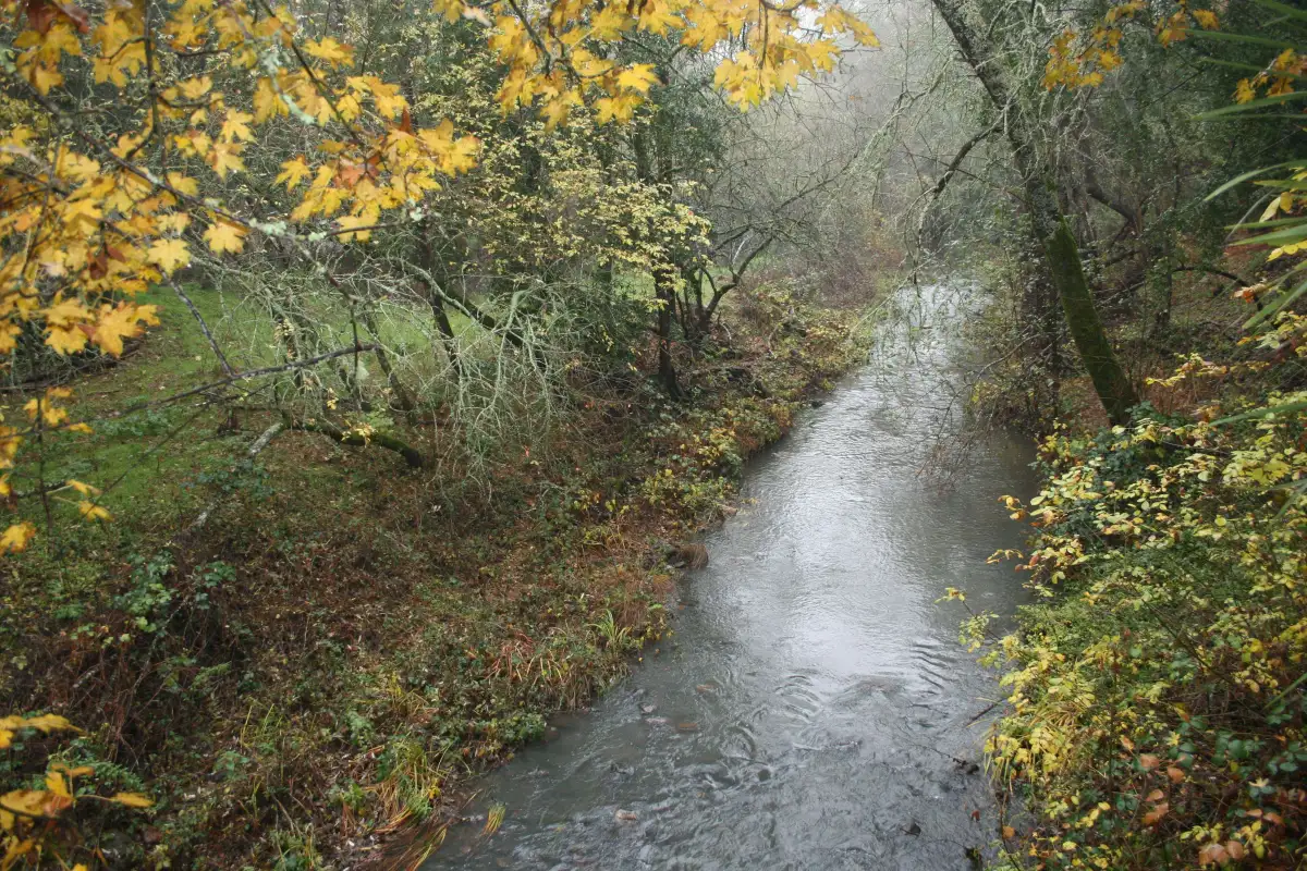Summit Saturday at Calabazas Creek Open Space Preserve