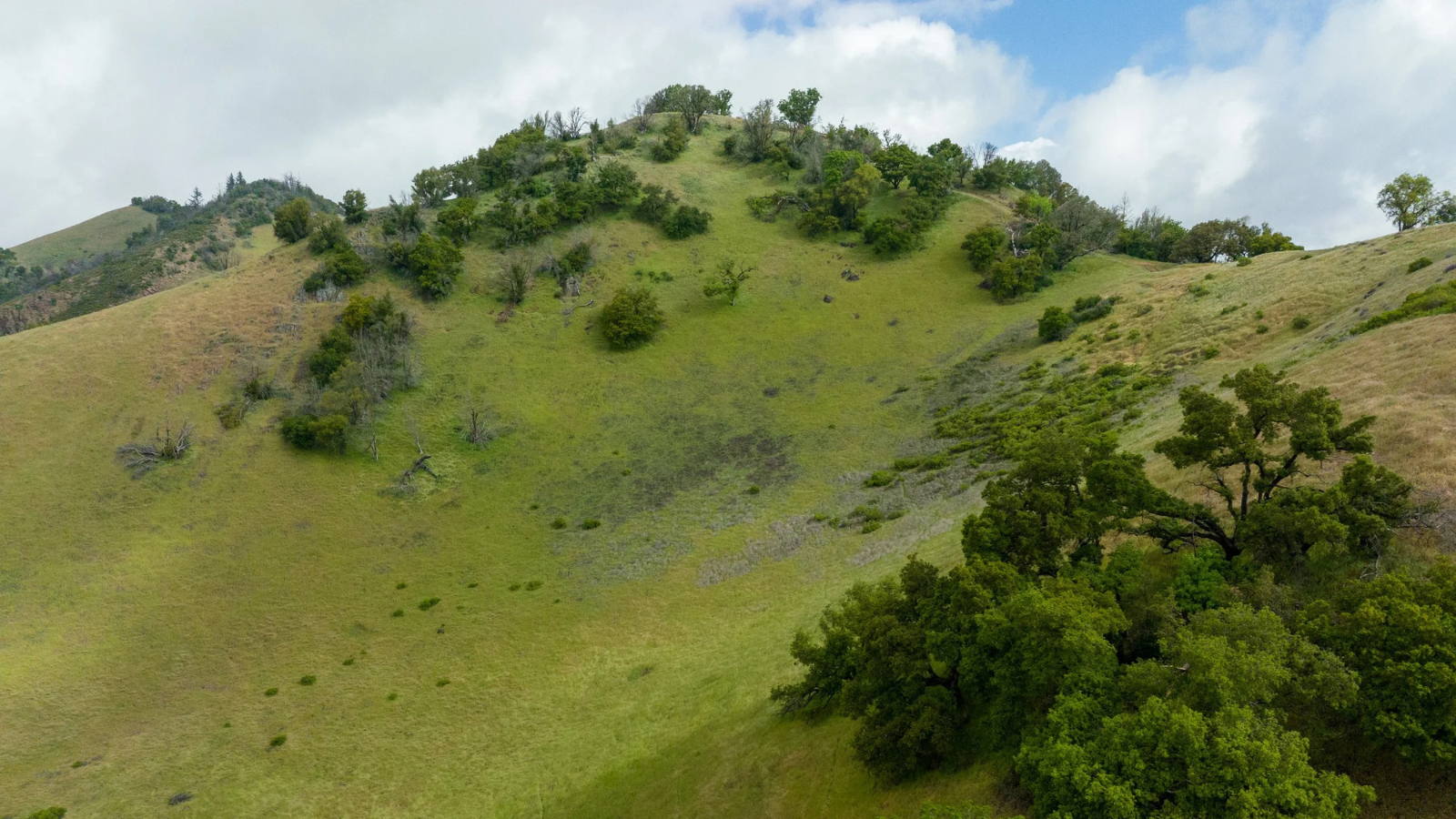 *FULL* Summit Saturday: Calabazas Creek Open Space Preserve
