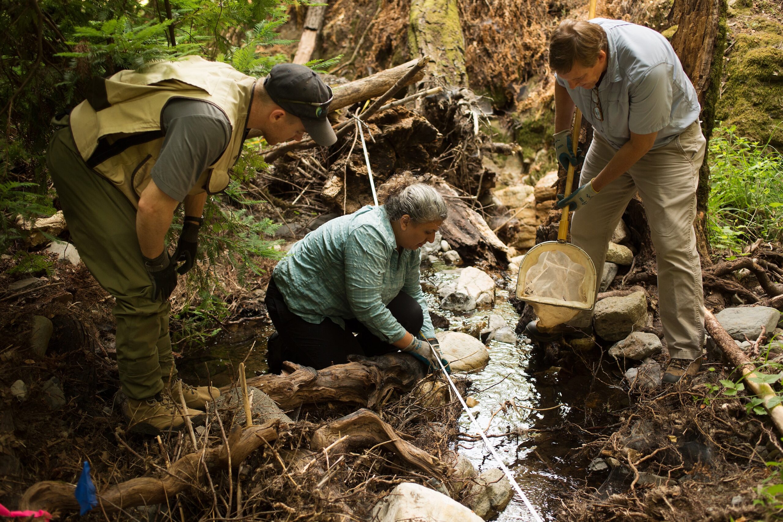 group of people working on a creek