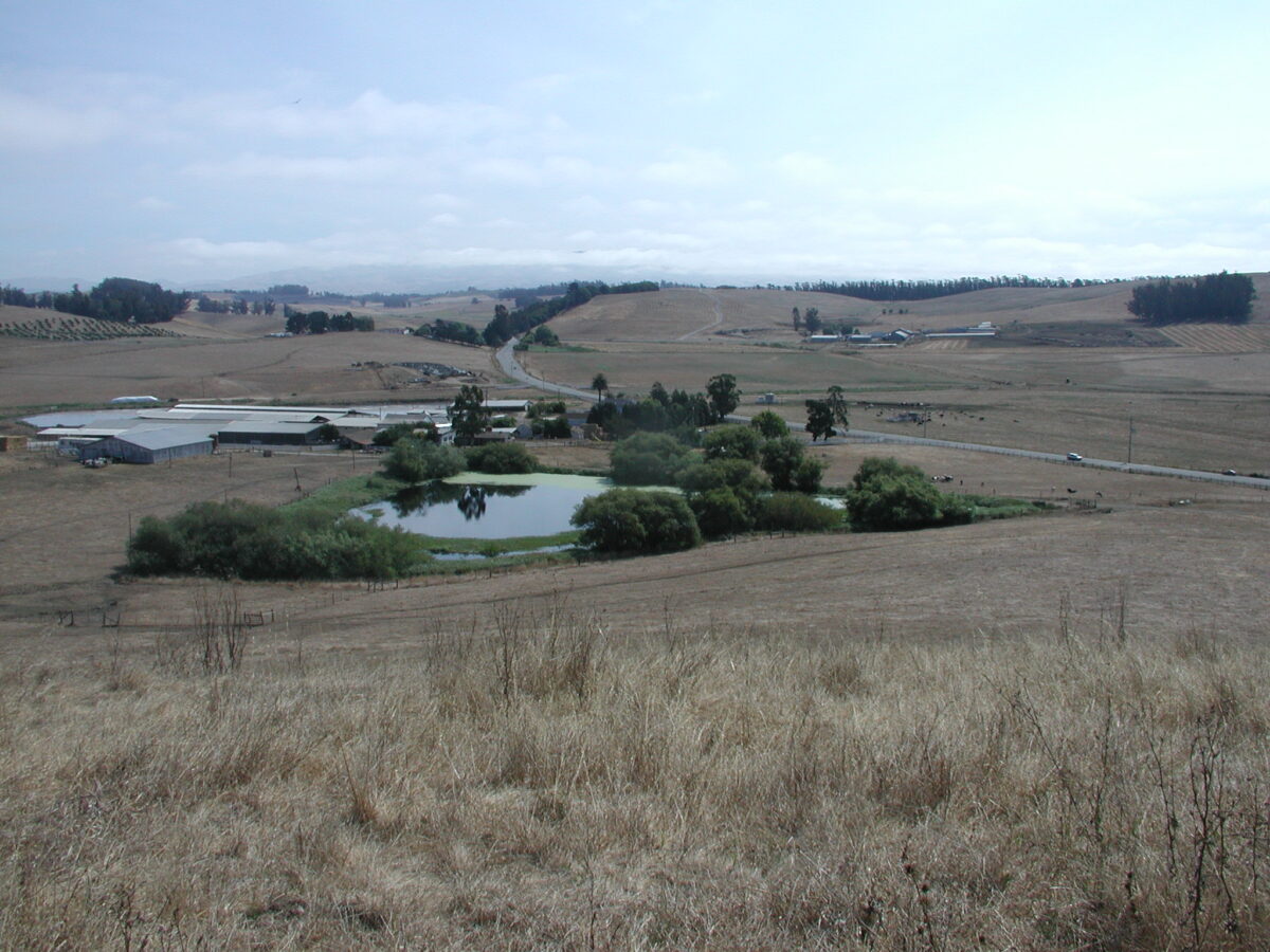 View of Camozzi Dairy from hilltop