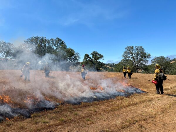 Burn in grass with fire fighters nearby