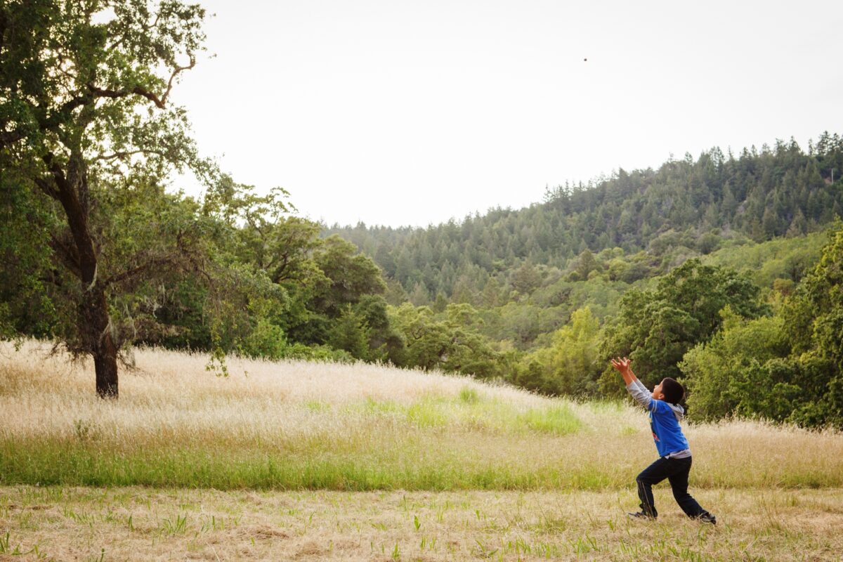 A child in a field reaching his hands in the air