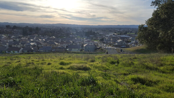 View of Santa Rosa from Cooper Creek addition to Taylor Mountain Regional Park and Open Space Preserve