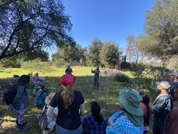 A crowd of community members stand in the grass and listen to speakers share about the Dogbane plant.