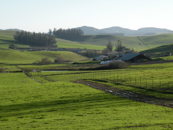 Rolling green hills overlooking a barn and buildings.