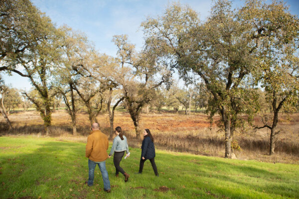 three people walking in the grass