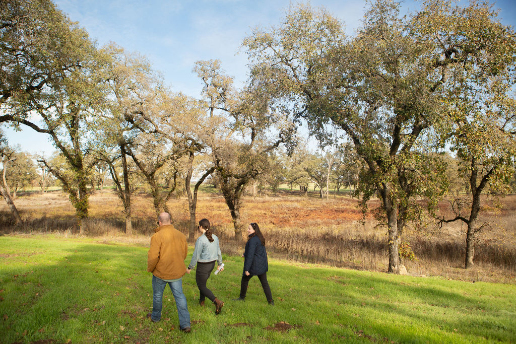three people walking in the grass