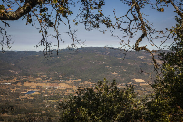 View of valley and mountains from View from east slope of Sonoma Mountain.