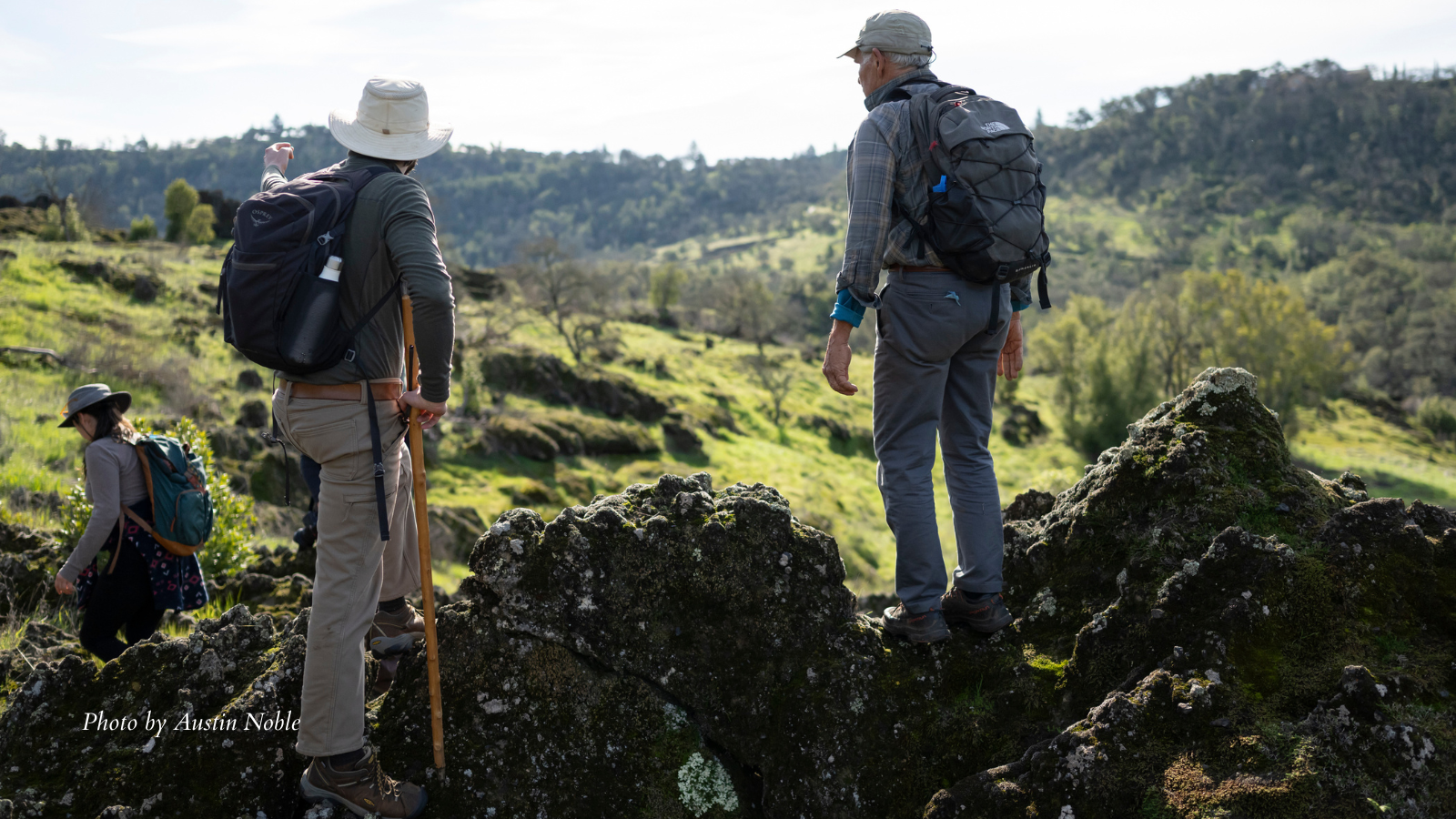 Summit Saturday East Slope Sonoma Mountain Trek