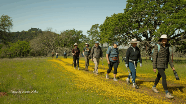 Group of people walking along a path