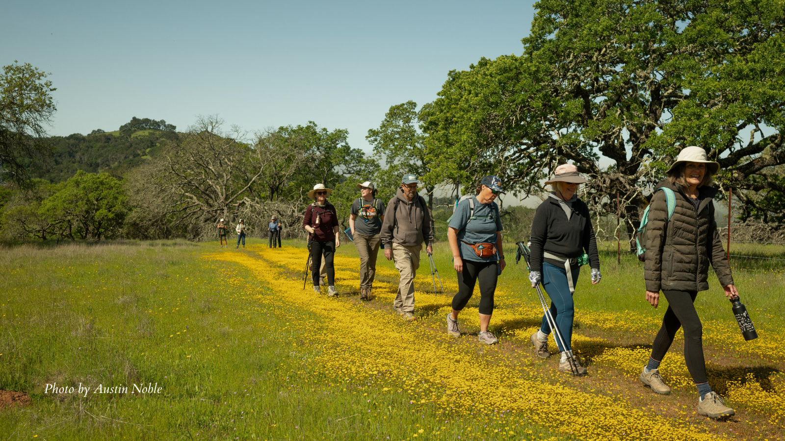 Montini Walk with Local Biologist: Explore Plant Communities