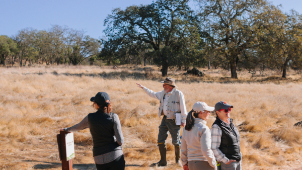 Man leading group on a hike, oak trees in background.