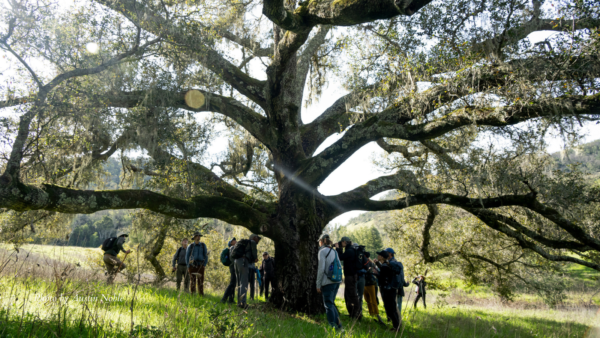 Keen property photo including hikers in an oak woodland field
