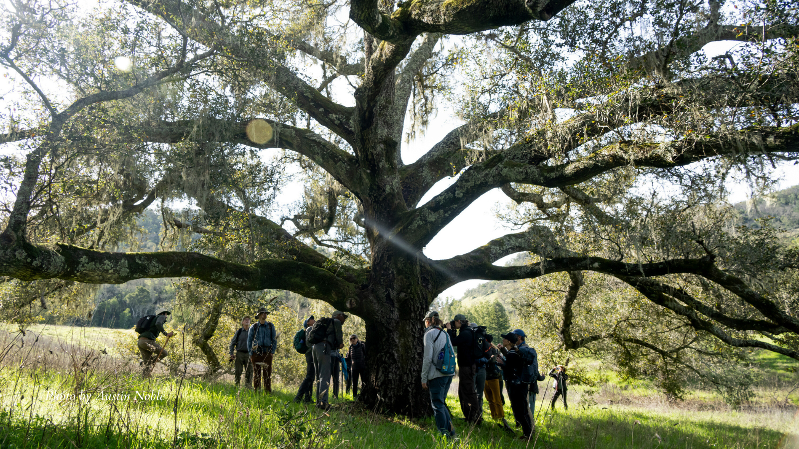 Summit Saturday: Keen Property