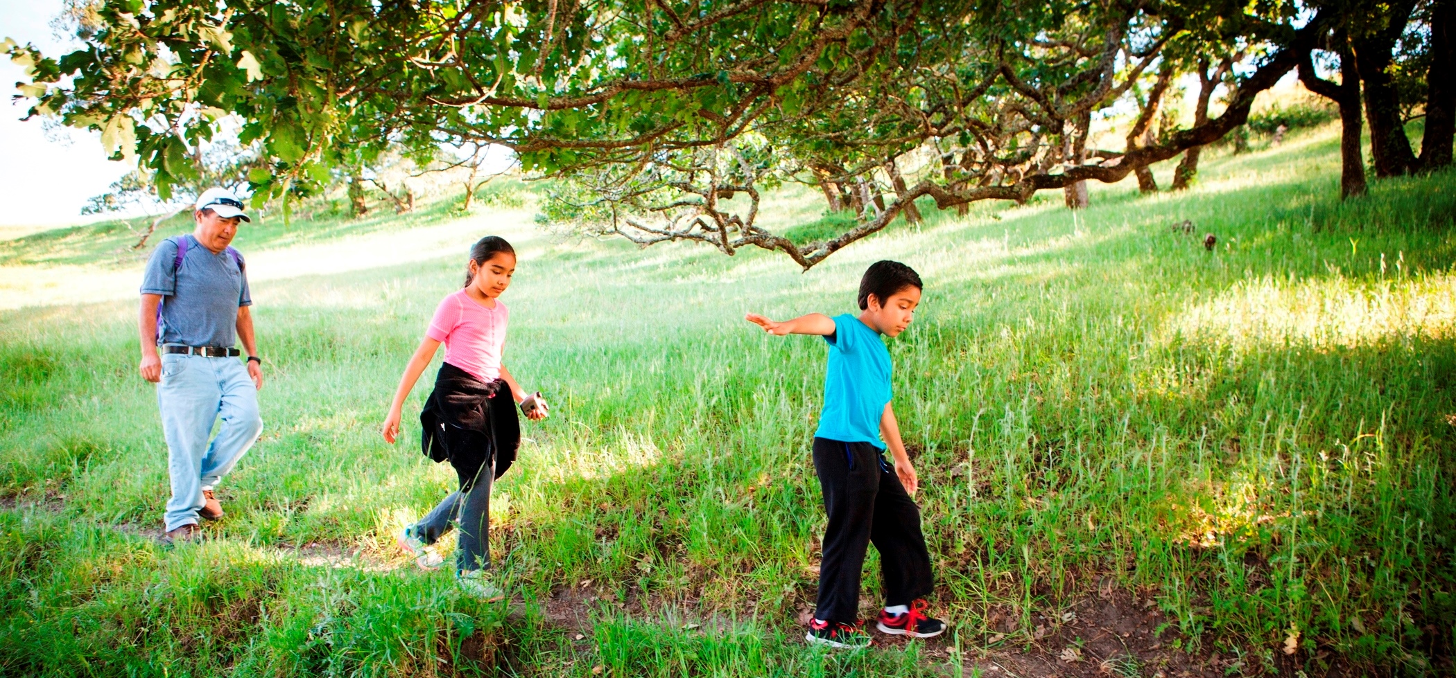 Two children and an adult walking on a trail through a green field with big trees in background