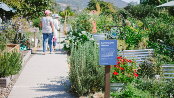 People walking through garden looking at plants