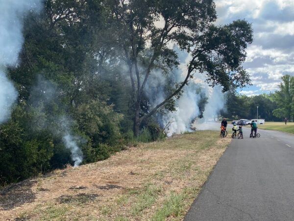 Controlled Burn