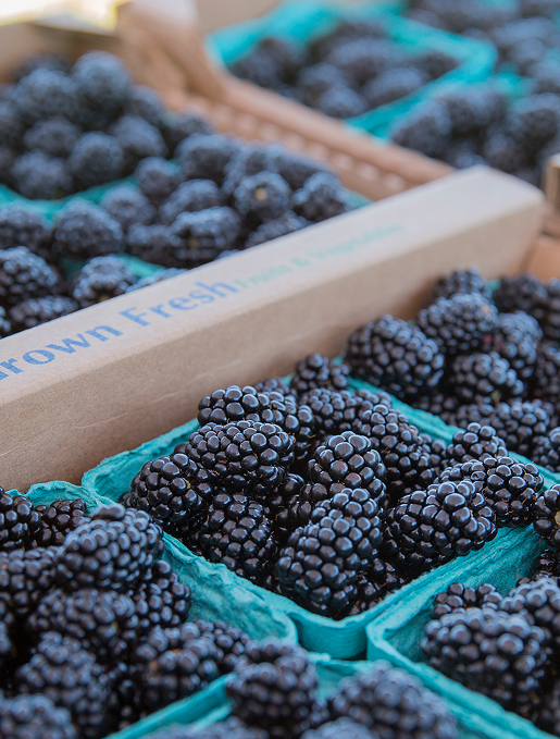 containers of black berries