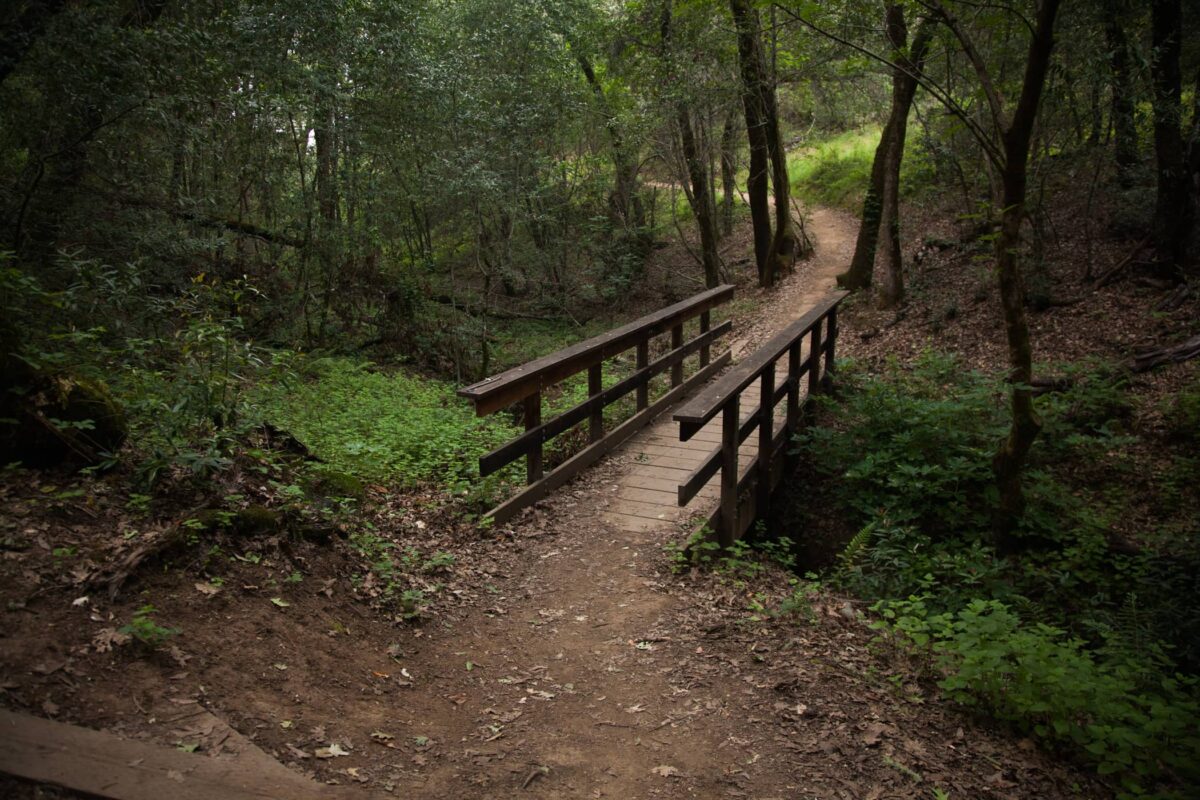 a small wood bridge on a walkway