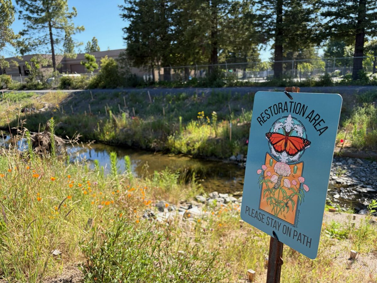 A sign that says "Restoration area" with grass and flowers and Colgan Creek in the background.