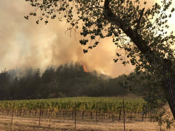 wildfire in distance
