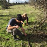 SRJC students working at Haroutunian South.