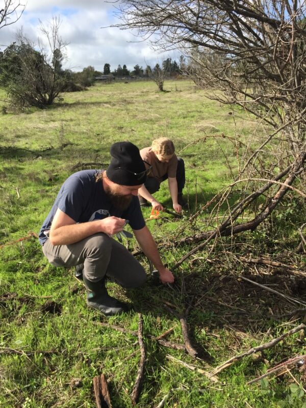 SRJC students working at Haroutunian South.
