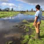 SRJC student looking at vernal pools at Haroutunian South.