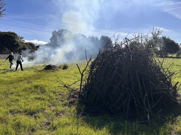 A pile of dry vegetation burns in the background