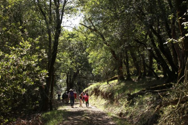 group of people on a hike