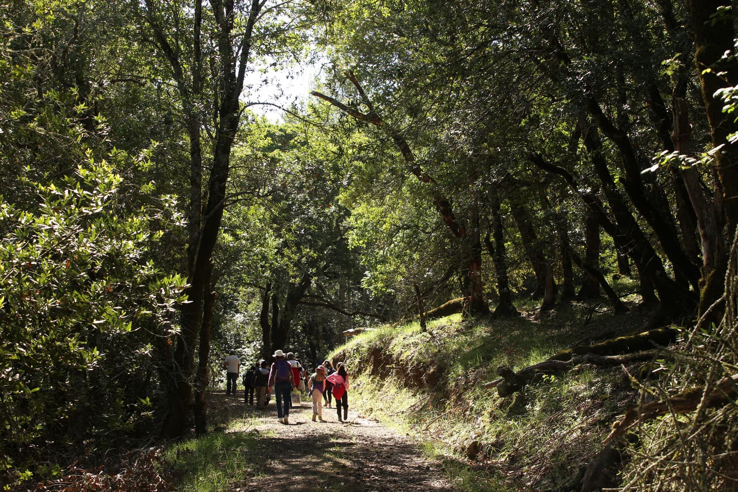 group of people on a hike
