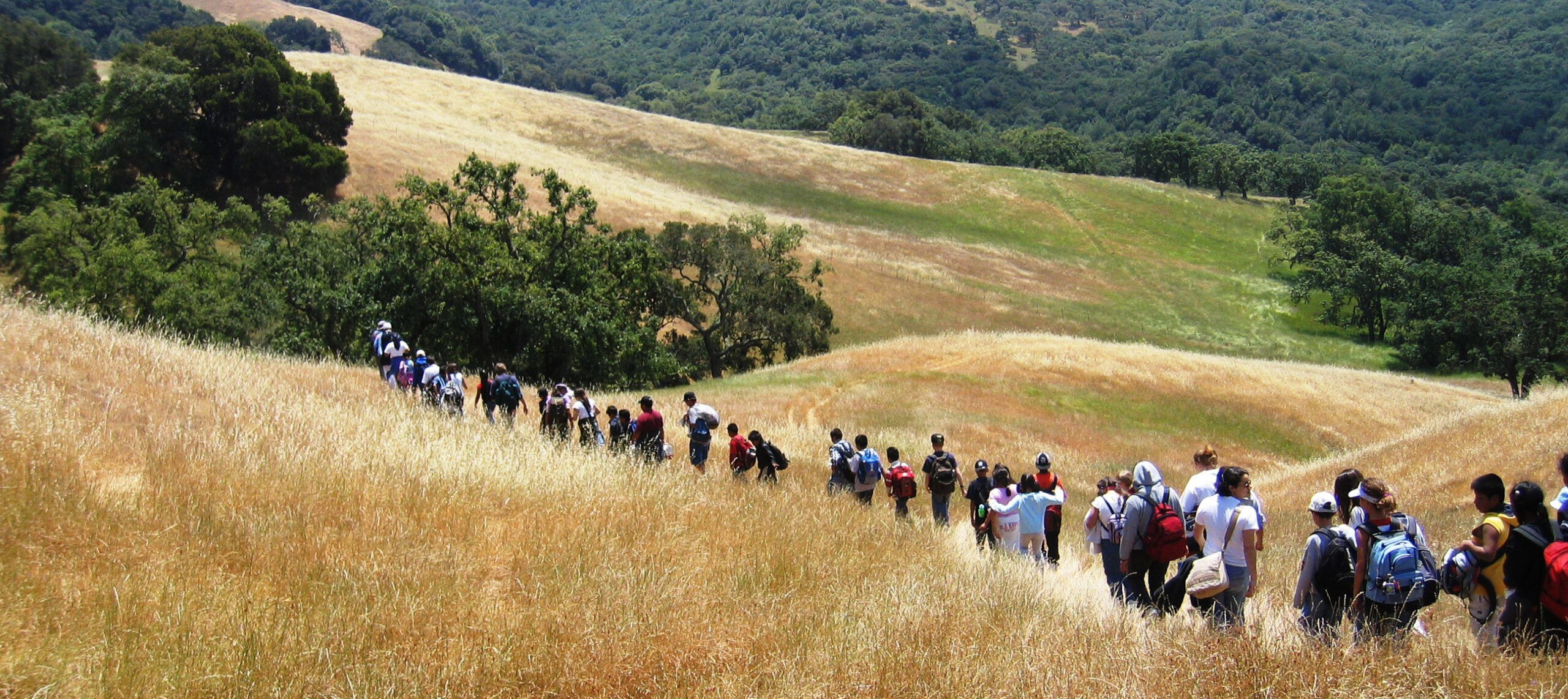a large group of people walking in a field