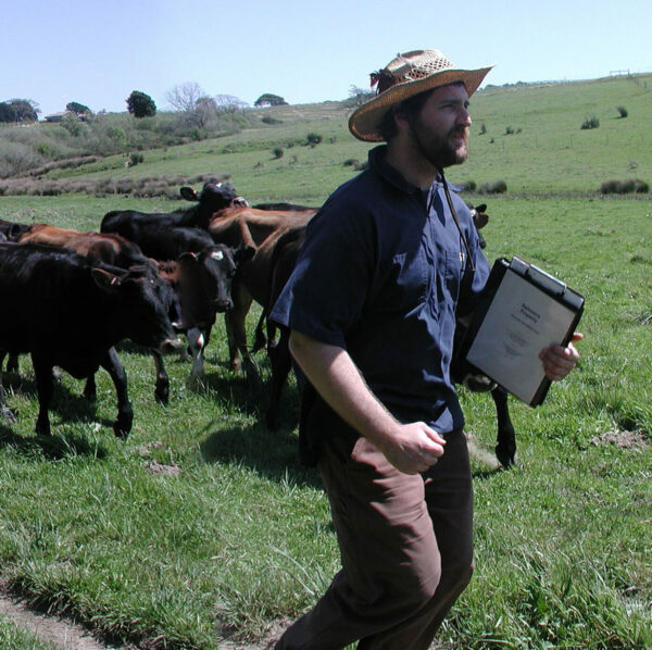 Jake with bulls in the background